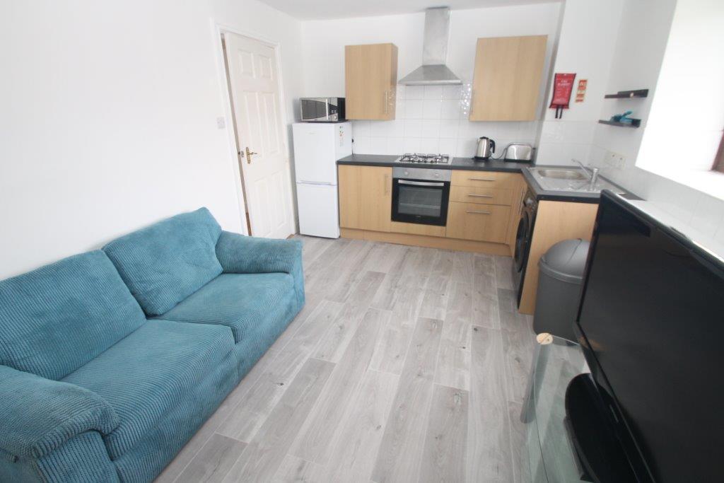 Student kitchen and living area with fridge freezer, gas hobs and cooker, washer/dryer, blue two seater sofa and tv