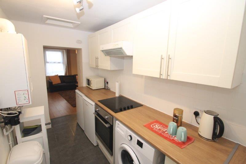 kitchen with induction hobs and cooker, washer/dryer and two small fridge freezers
