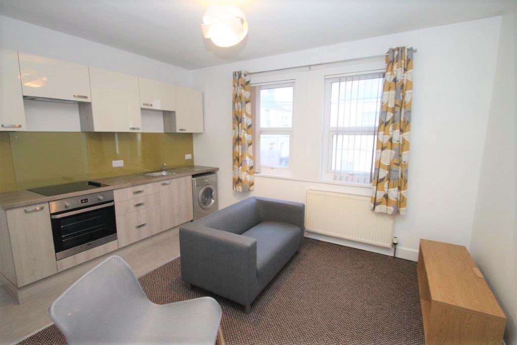 Kitchen and living space with induction hobs and cooker, washer/dryer, sink, grey two-seater sofa and grey chair