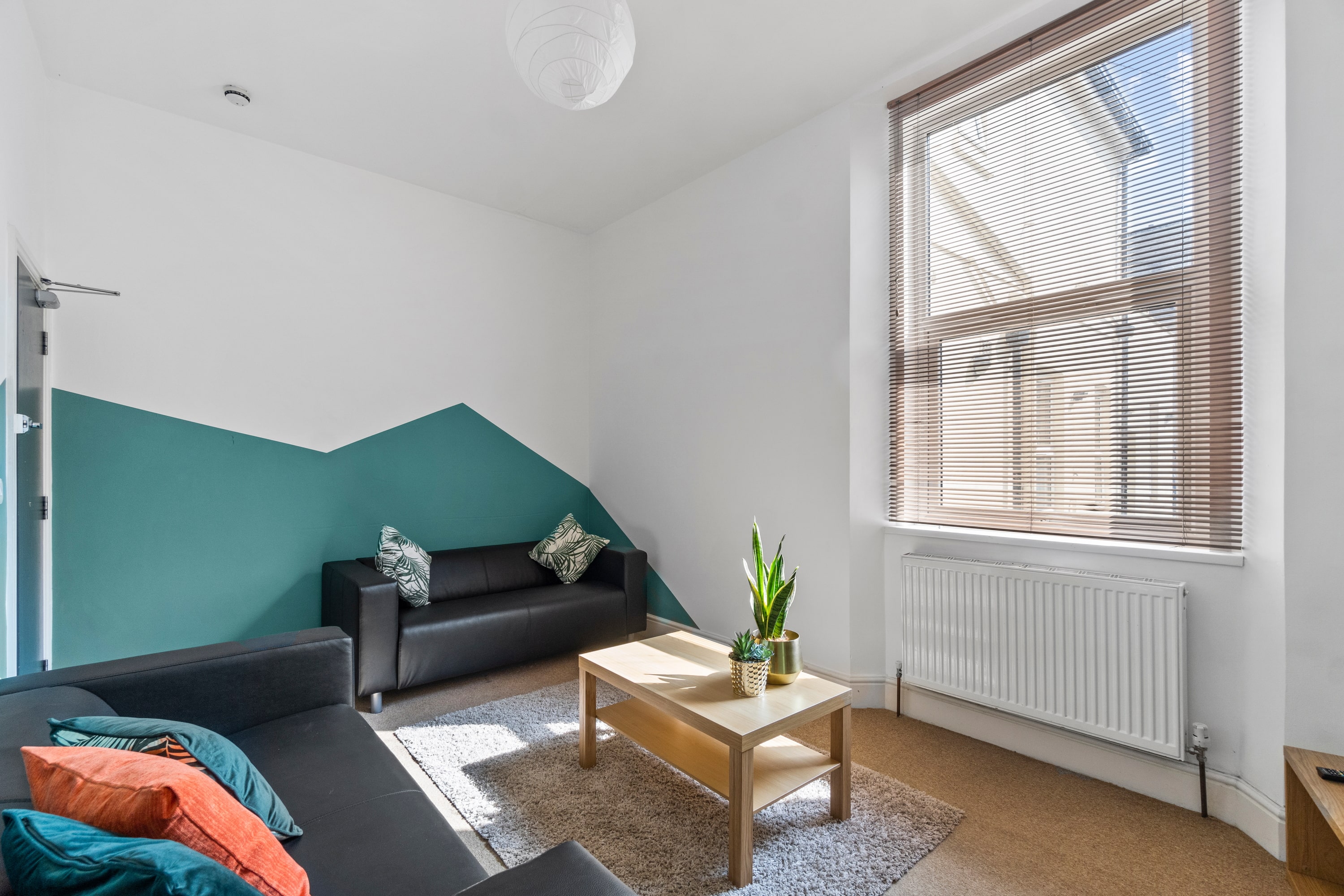 living room with blue feature wall, two black leather sofas, coffee table and tv on tv stand
