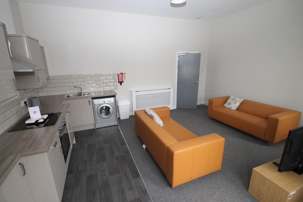 open living and kitchen area with two yellow sofas, washer/dryer, induction hobs and cooker and sink