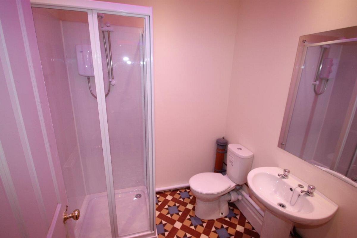 bathroom with shower and mirror above sink