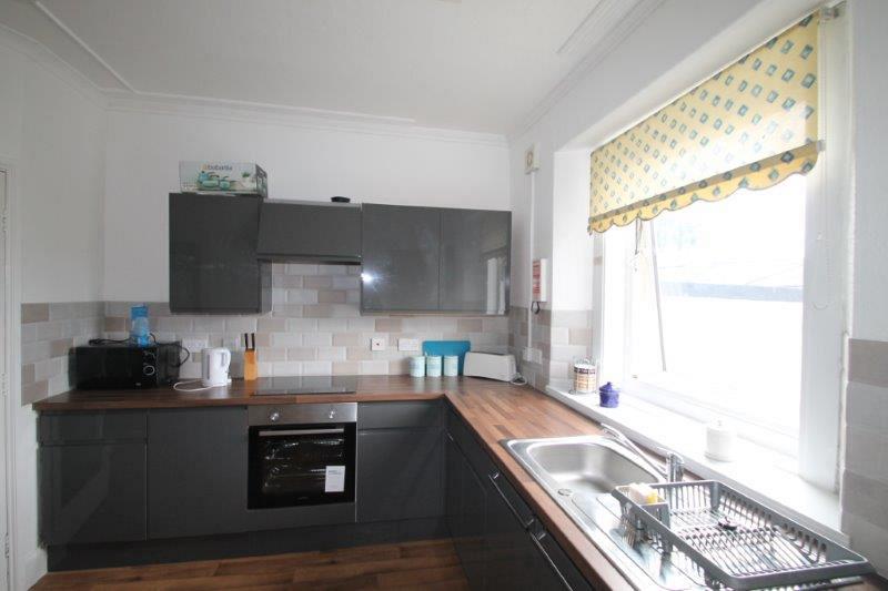 modern grey kitchen with inductions hobs and cooker, large sink and microwave