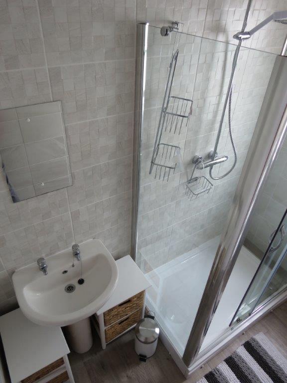 shared bathroom with large shower, mirror above sink and two white storage units