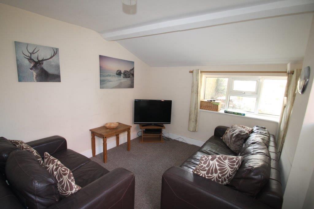 shared living room with two leather brown sofas, coffee table and tv on tv stand