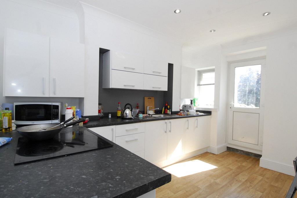 Shared kitchen with induction hobs and cooker, sink and entrance to back garden